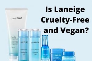 Is Laneige Cruelty- free brand